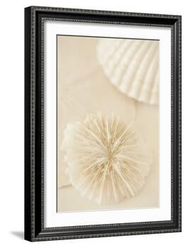 Ocean Treasures I-Karyn Millet-Framed Photographic Print