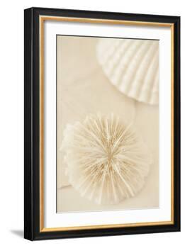 Ocean Treasures I-Karyn Millet-Framed Photographic Print