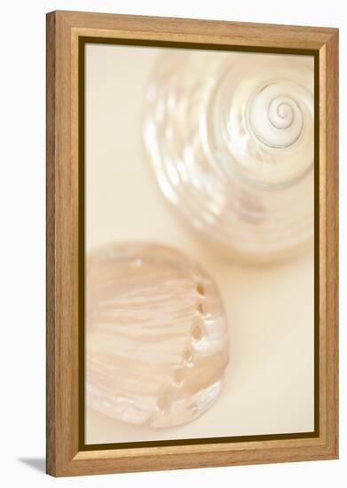 Ocean Treasures II-Karyn Millet-Framed Premier Image Canvas