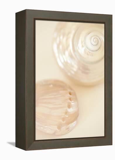 Ocean Treasures II-Karyn Millet-Framed Premier Image Canvas