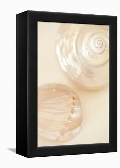 Ocean Treasures II-Karyn Millet-Framed Premier Image Canvas