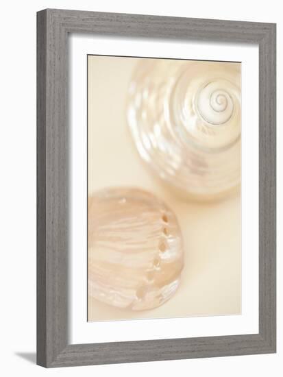 Ocean Treasures II-Karyn Millet-Framed Photographic Print