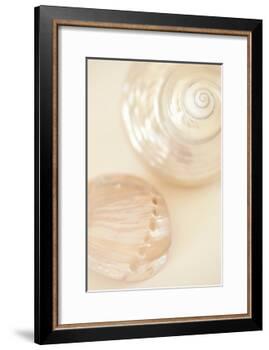 Ocean Treasures II-Karyn Millet-Framed Photographic Print