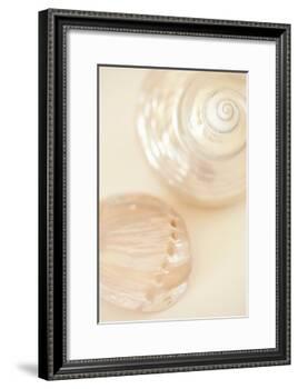 Ocean Treasures II-Karyn Millet-Framed Photographic Print