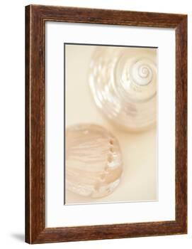 Ocean Treasures II-Karyn Millet-Framed Photographic Print