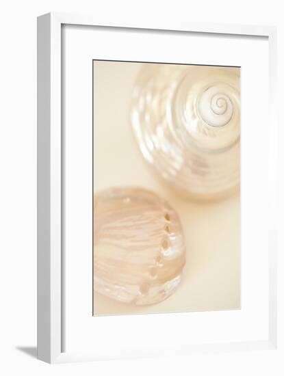 Ocean Treasures II-Karyn Millet-Framed Photographic Print