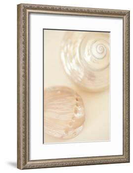 Ocean Treasures II-Karyn Millet-Framed Photographic Print