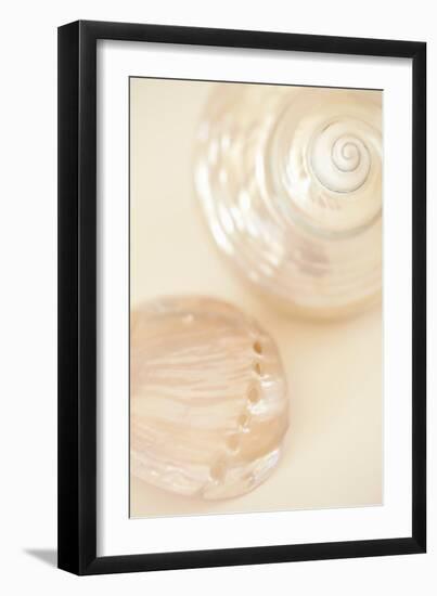 Ocean Treasures II-Karyn Millet-Framed Photographic Print