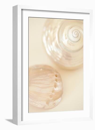 Ocean Treasures II-Karyn Millet-Framed Photographic Print