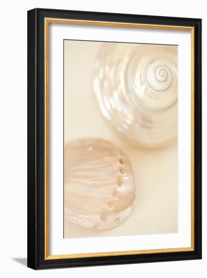 Ocean Treasures II-Karyn Millet-Framed Photographic Print