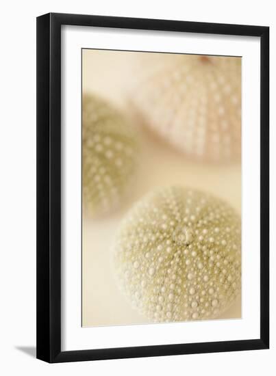 Ocean Treasures III-Karyn Millet-Framed Photographic Print