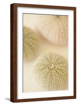 Ocean Treasures III-Karyn Millet-Framed Photographic Print