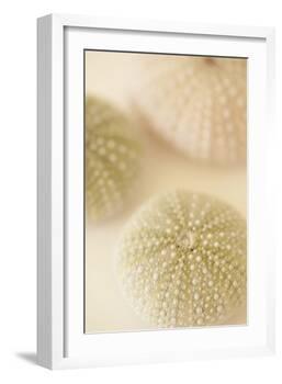 Ocean Treasures III-Karyn Millet-Framed Photographic Print