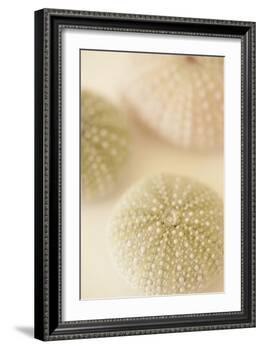 Ocean Treasures III-Karyn Millet-Framed Photographic Print
