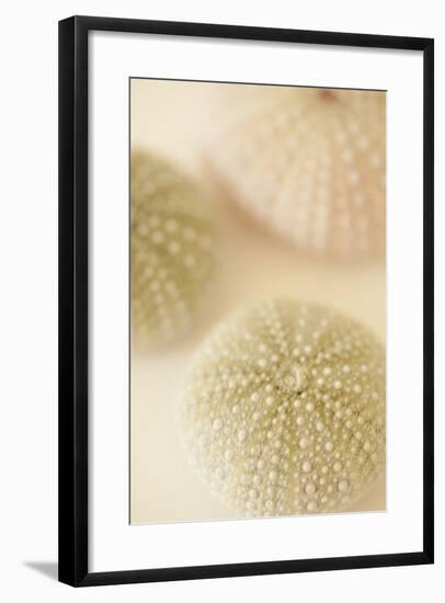 Ocean Treasures III-Karyn Millet-Framed Photographic Print