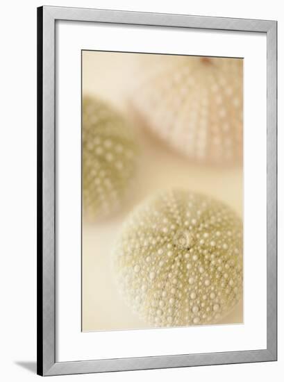 Ocean Treasures III-Karyn Millet-Framed Photographic Print