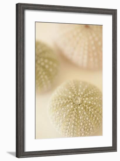 Ocean Treasures III-Karyn Millet-Framed Photographic Print