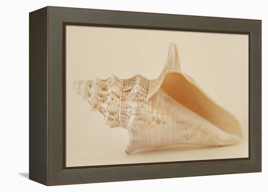 Ocean Treasures IX-Karyn Millet-Framed Premier Image Canvas
