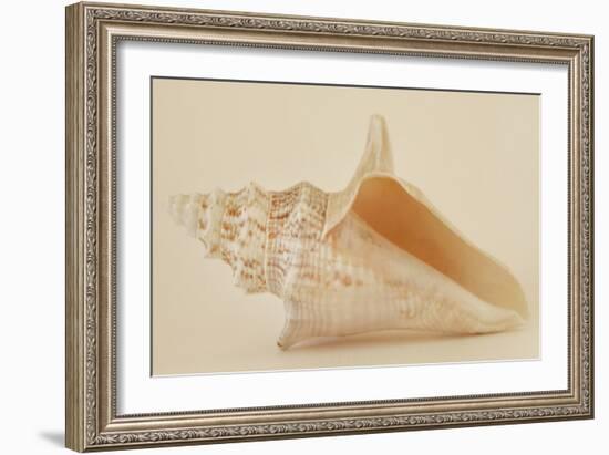 Ocean Treasures IX-Karyn Millet-Framed Photographic Print