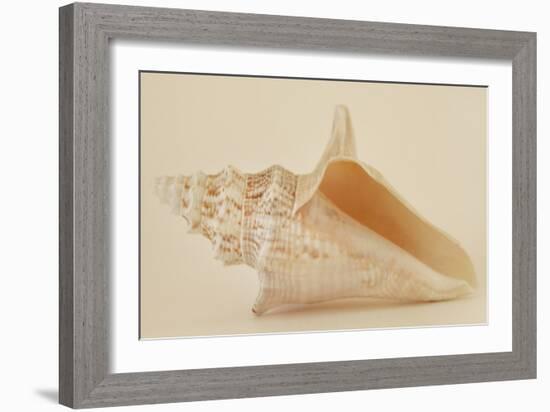 Ocean Treasures IX-Karyn Millet-Framed Photographic Print