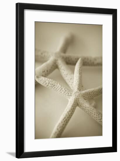 Ocean Treasures V-Karyn Millet-Framed Photographic Print
