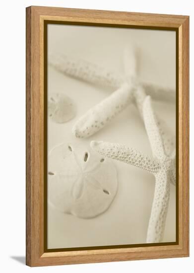 Ocean Treasures VI-Karyn Millet-Framed Premier Image Canvas