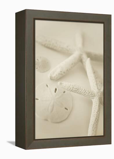 Ocean Treasures VI-Karyn Millet-Framed Premier Image Canvas