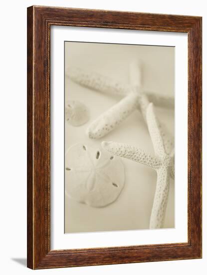 Ocean Treasures VI-Karyn Millet-Framed Photographic Print