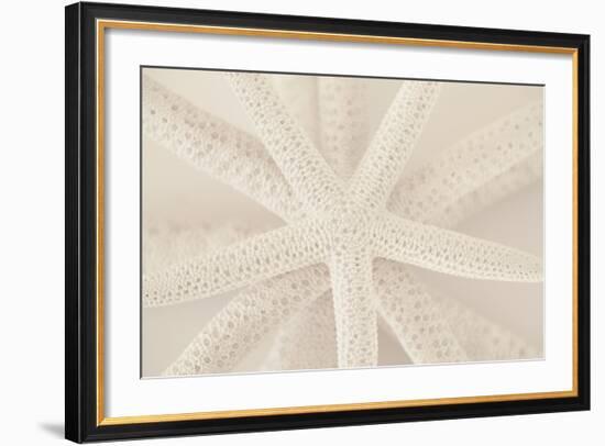 Ocean Treasures VII-Karyn Millet-Framed Photographic Print