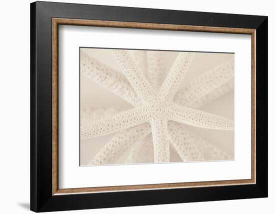 Ocean Treasures VII-Karyn Millet-Framed Photographic Print