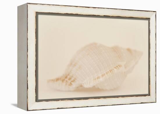 Ocean Treasures VIII-Karyn Millet-Framed Premier Image Canvas