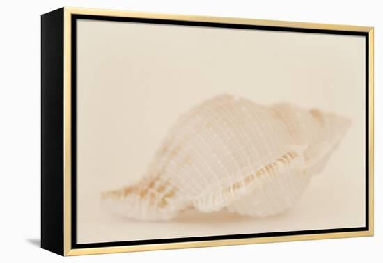 Ocean Treasures VIII-Karyn Millet-Framed Premier Image Canvas