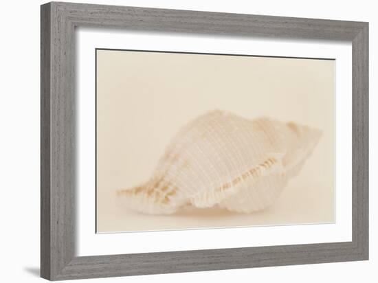 Ocean Treasures VIII-Karyn Millet-Framed Photographic Print