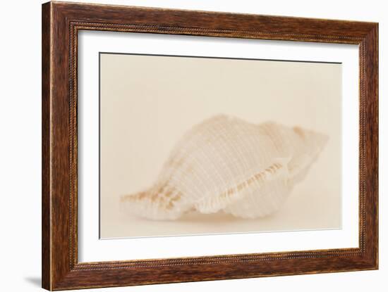 Ocean Treasures VIII-Karyn Millet-Framed Photographic Print