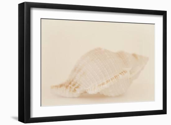 Ocean Treasures VIII-Karyn Millet-Framed Photographic Print