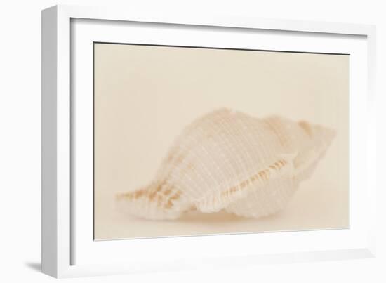 Ocean Treasures VIII-Karyn Millet-Framed Photographic Print