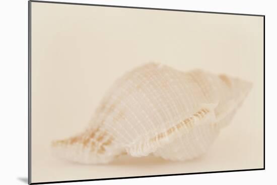Ocean Treasures VIII-Karyn Millet-Mounted Photographic Print