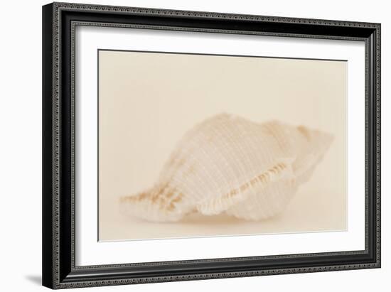 Ocean Treasures VIII-Karyn Millet-Framed Photographic Print