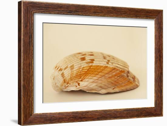 Ocean Treasures X-Karyn Millet-Framed Photographic Print