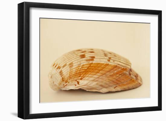 Ocean Treasures X-Karyn Millet-Framed Photographic Print