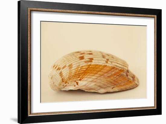 Ocean Treasures X-Karyn Millet-Framed Photographic Print