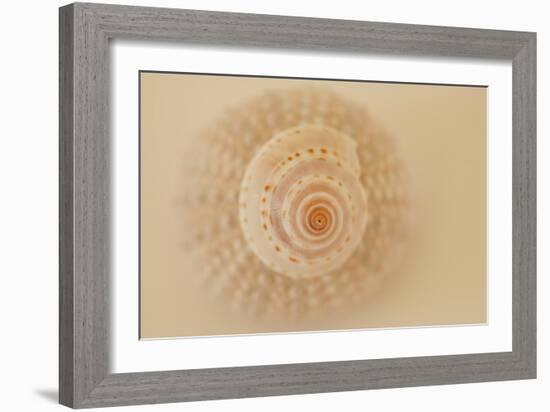 Ocean Treasures XI-Karyn Millet-Framed Photographic Print