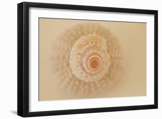 Ocean Treasures XI-Karyn Millet-Framed Photographic Print