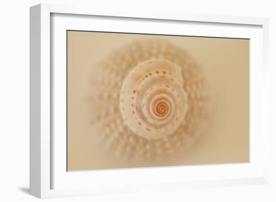 Ocean Treasures XI-Karyn Millet-Framed Photographic Print