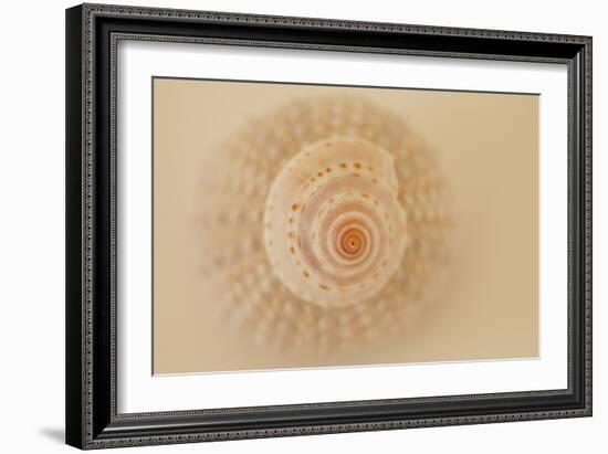 Ocean Treasures XI-Karyn Millet-Framed Photographic Print