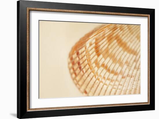 Ocean Treasures XII-Karyn Millet-Framed Photographic Print