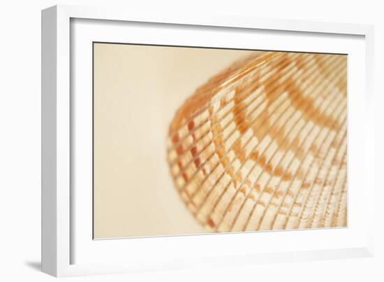 Ocean Treasures XII-Karyn Millet-Framed Photographic Print