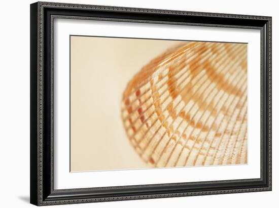 Ocean Treasures XII-Karyn Millet-Framed Photographic Print