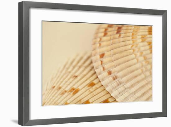 Ocean Treasures XIII-Karyn Millet-Framed Photographic Print