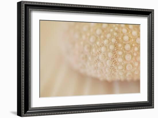 Ocean Treasures XV-Karyn Millet-Framed Photographic Print